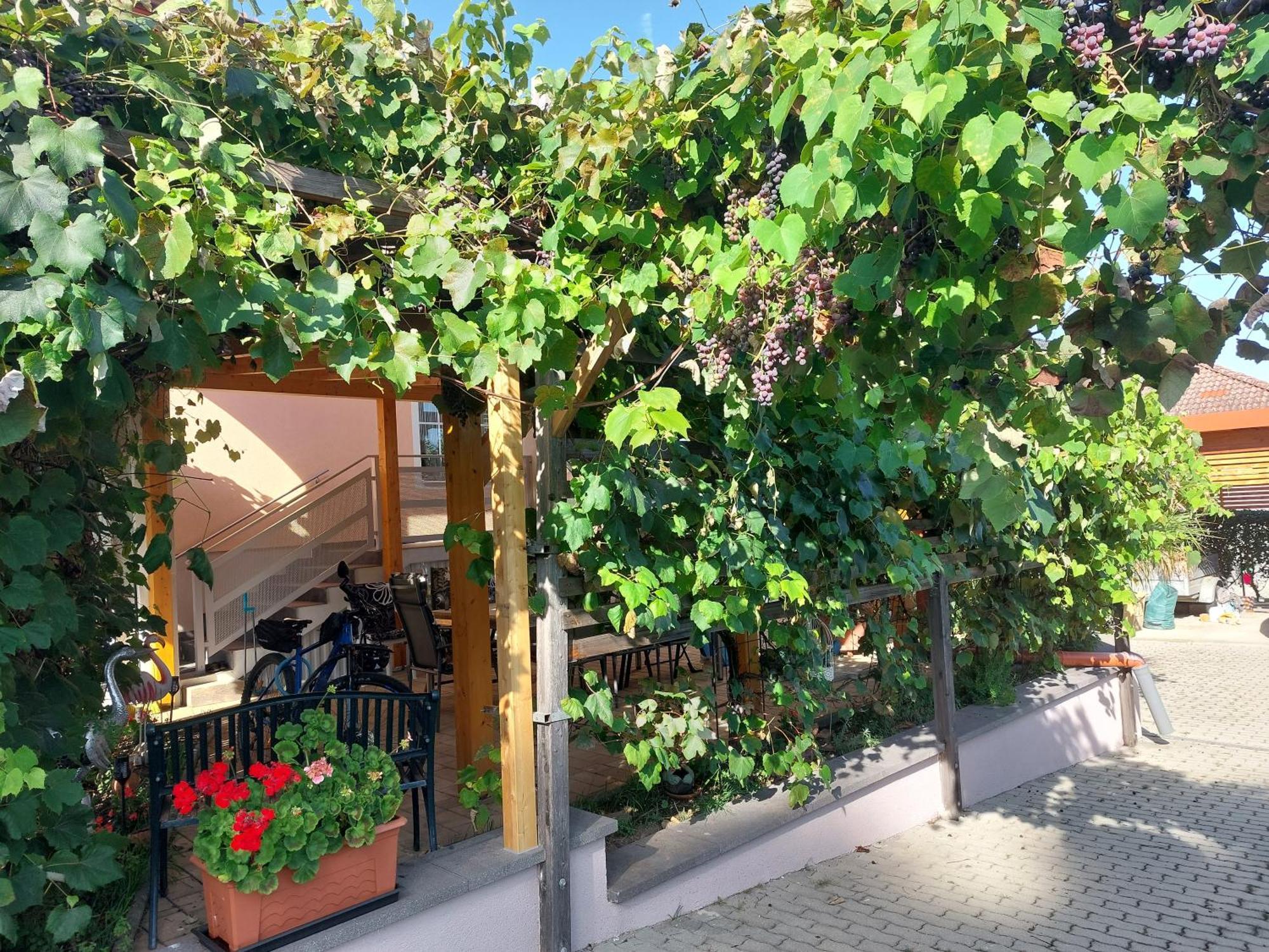 Ferienwohnung Gerti Pinkafeld Εξωτερικό φωτογραφία
